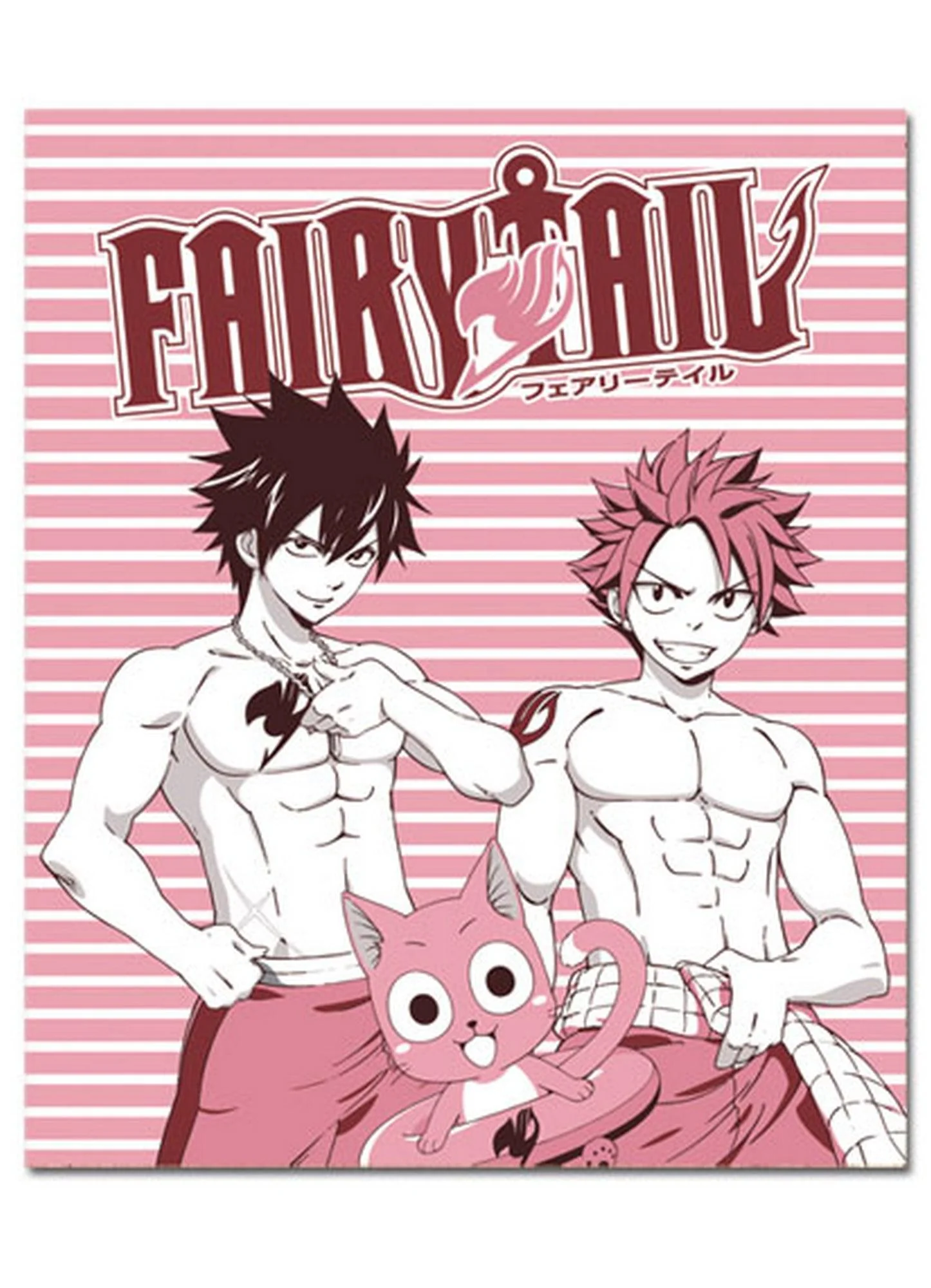 Fairy Tail S2 - Group Boys Throw Blanket